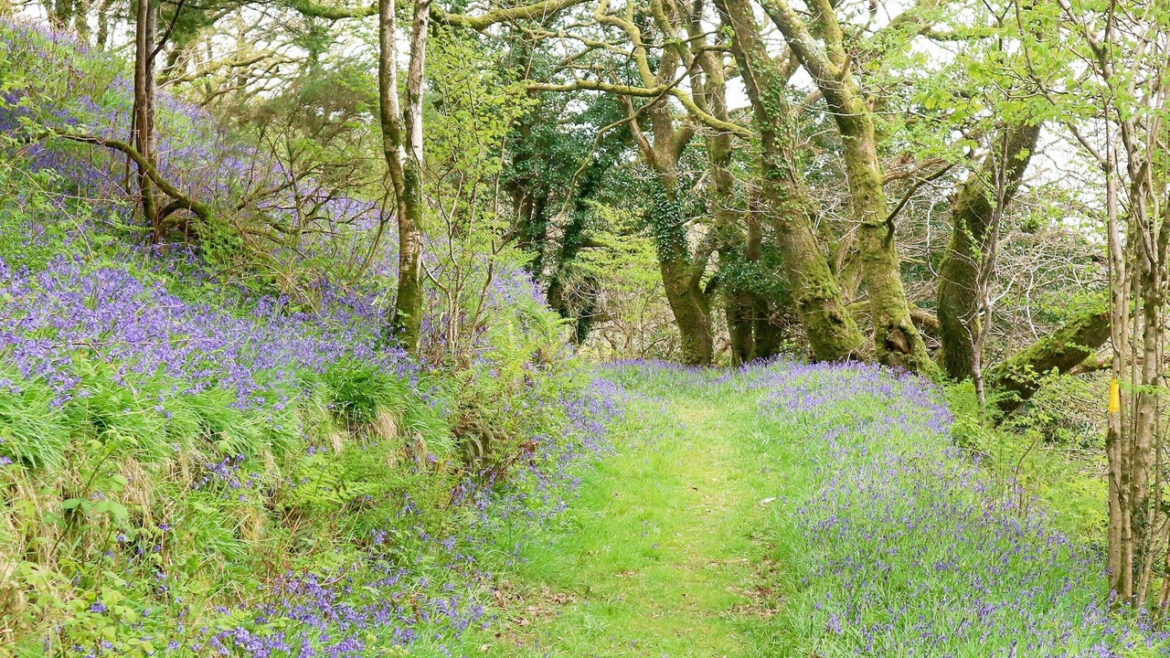 Photo of Outdoor in Hele