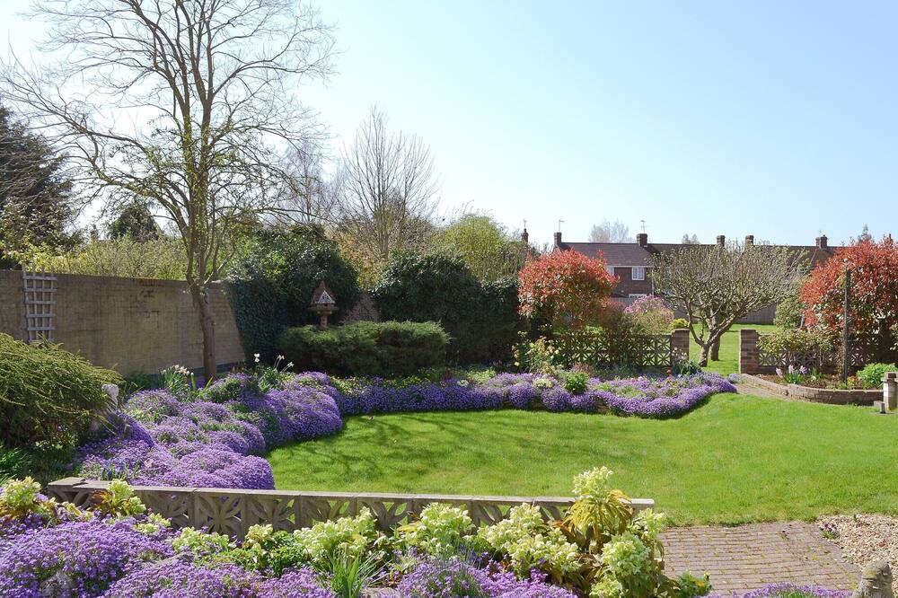 Photo of Others in Ely