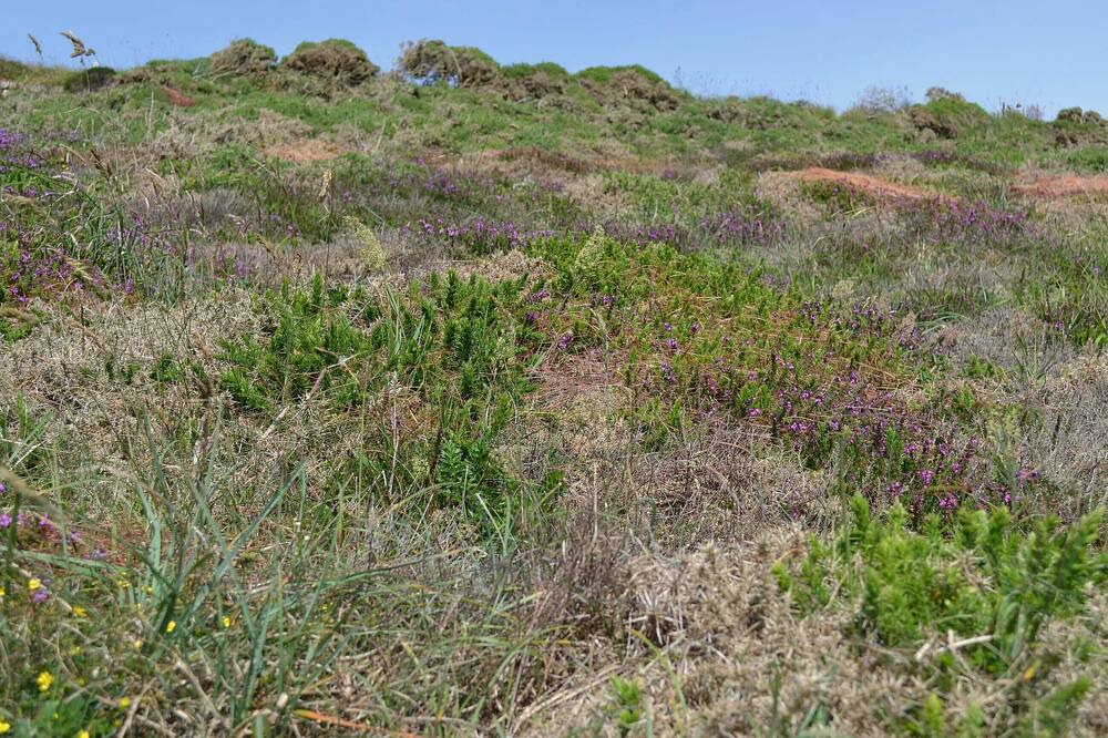 Photo of Outdoor in Portreath