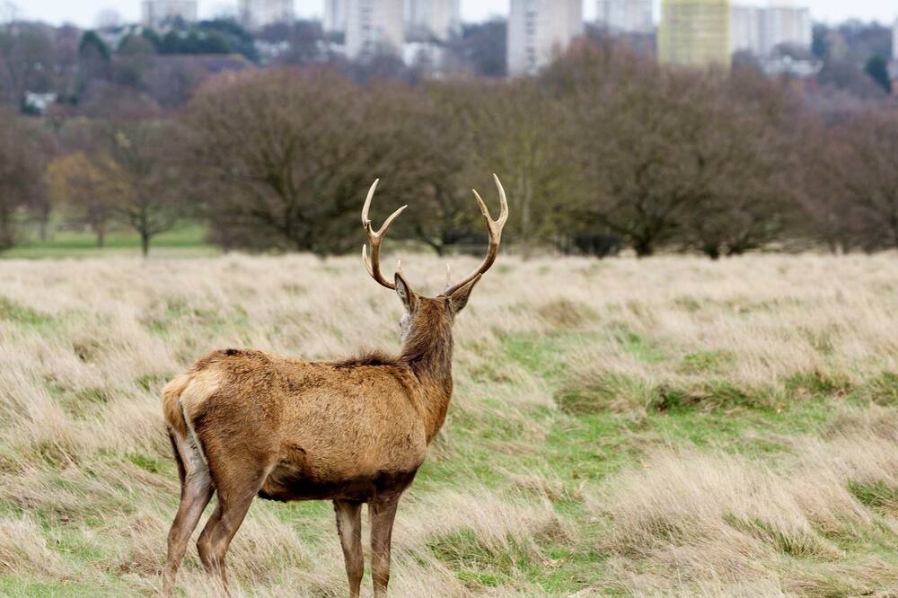 Photo of Outdoor in Harrow on the Hill