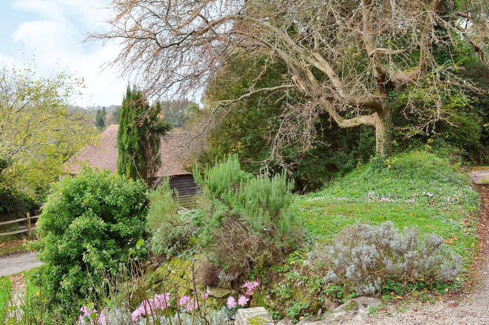 Photo of Outdoor in Wadhurst