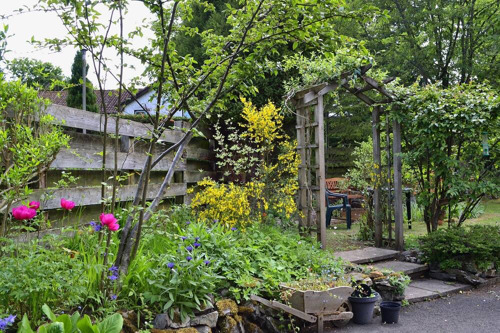 Photo of Others in Selkirk