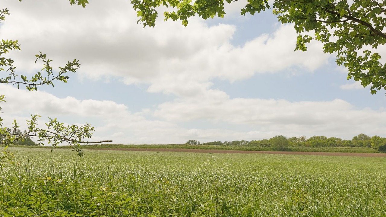 Photo of Others in Foxley