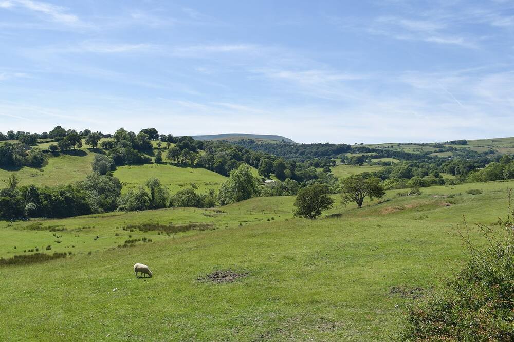 Photo of Others in Blacko