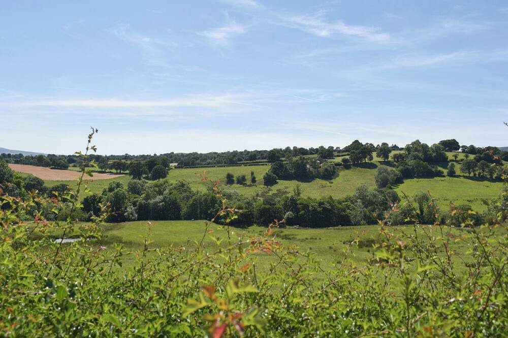 Photo of Others in Blacko