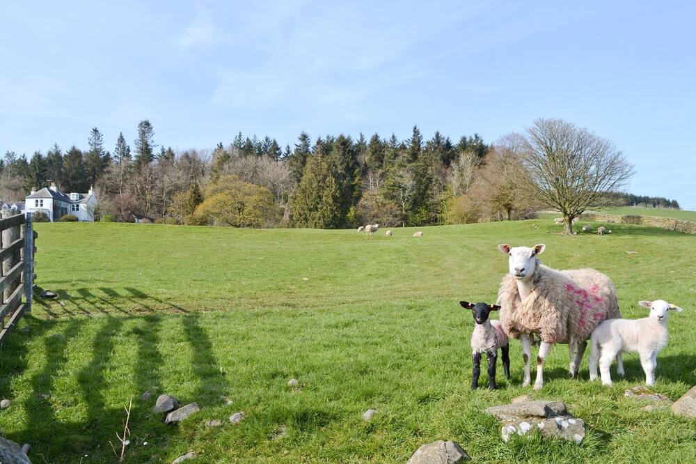 Photo of Outdoor in Castle Douglas