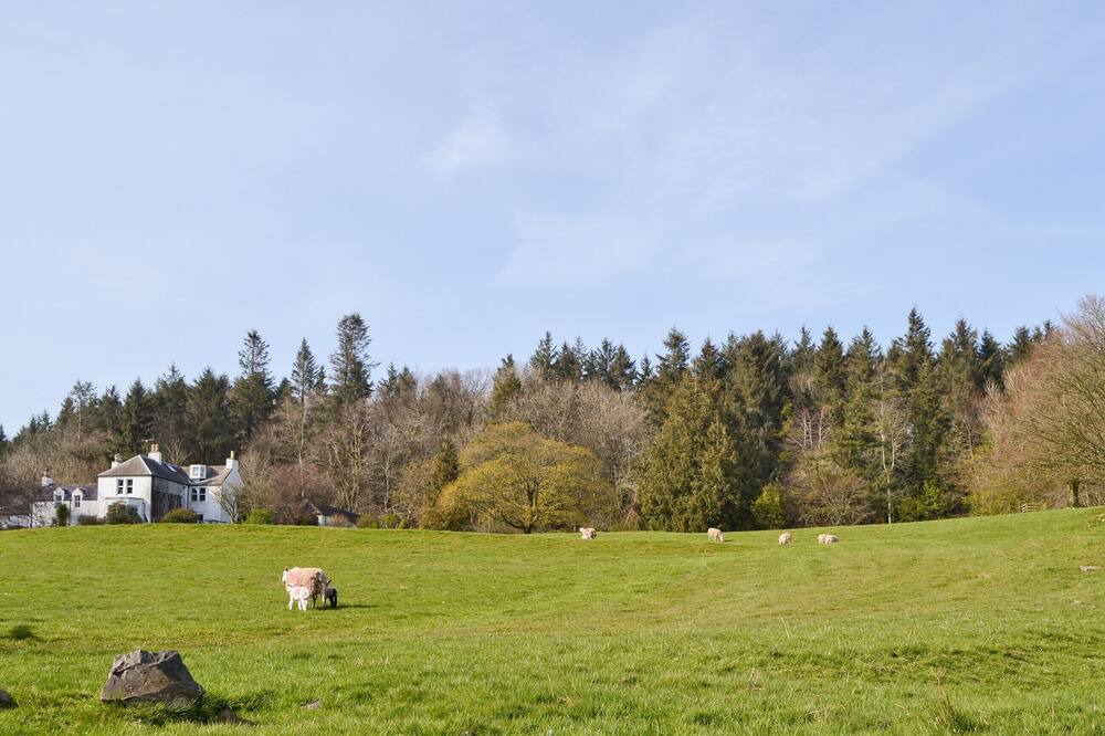 Photo of Others in Castle Douglas