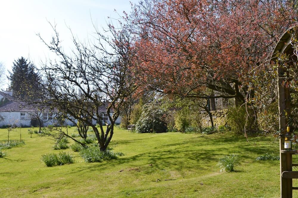 Photo of Others in Castle Douglas