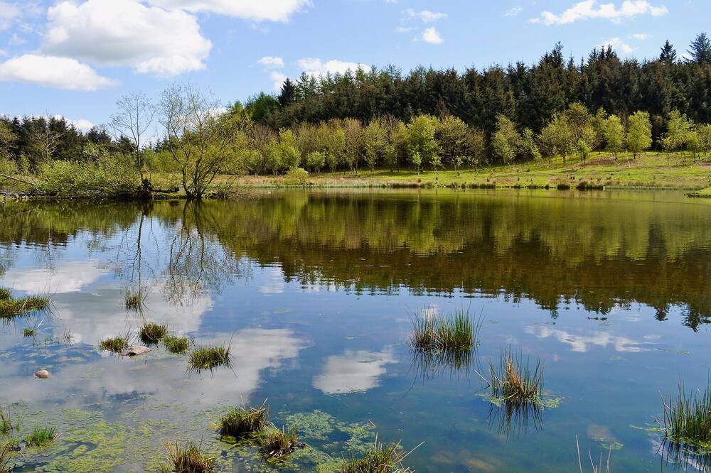 Photo of Outdoor in Castle Douglas