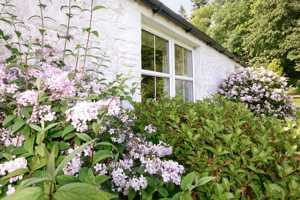 Photo of Outdoor in Castle Douglas