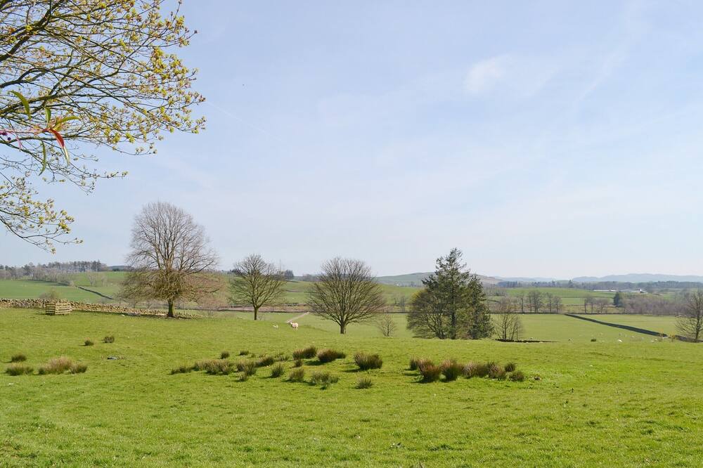 Photo of Others in Castle Douglas