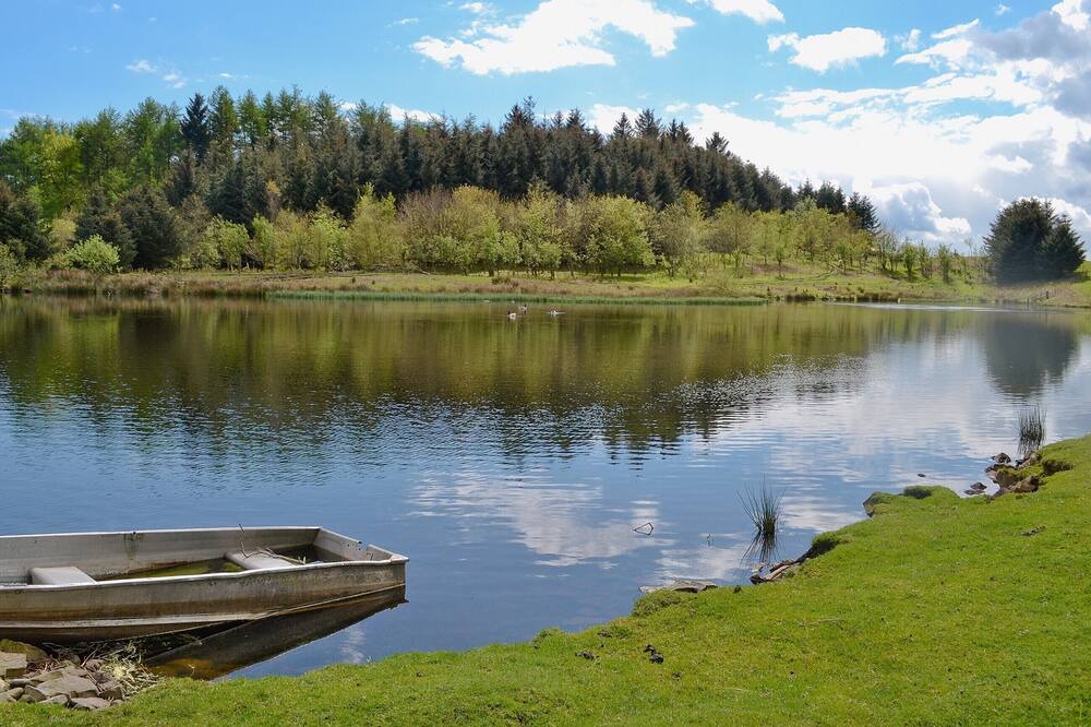 Photo of Others in Castle Douglas