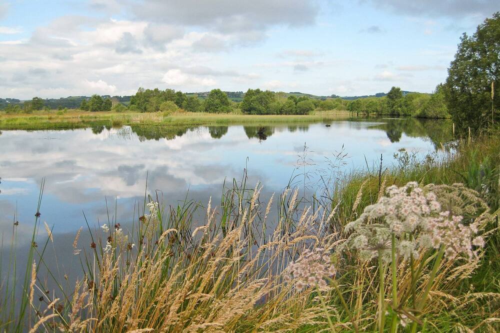 Photo of Others in Tregaron