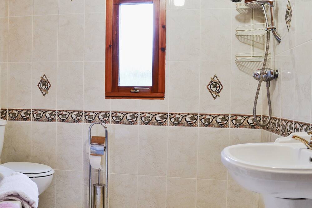 Photo of Bathroom in Tregaron