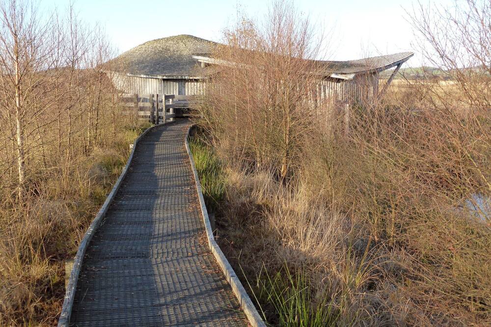 Photo of Others in Tregaron