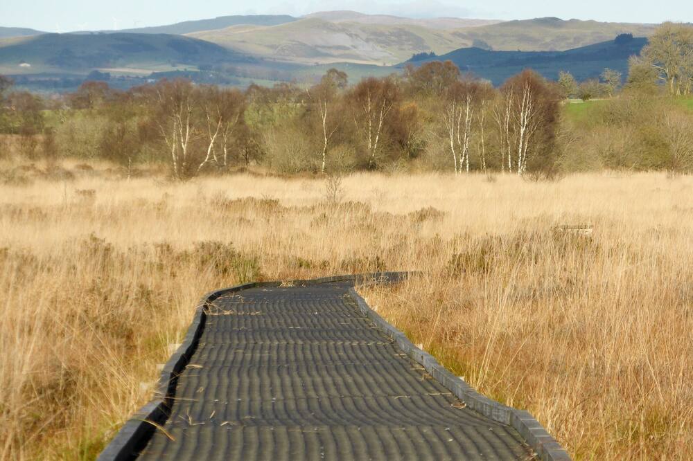 Photo of Others in Tregaron