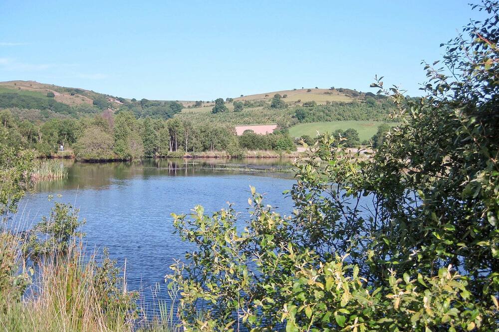 Photo of Others in Tregaron