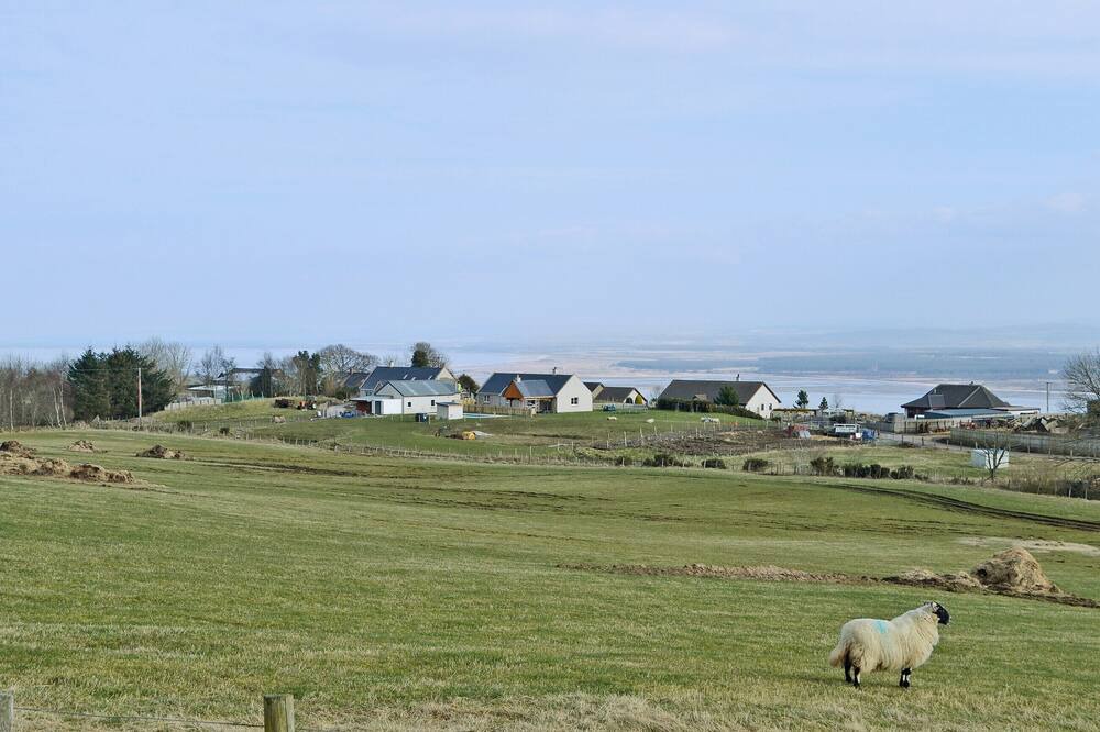 Photo of Outdoor in Fortrose
