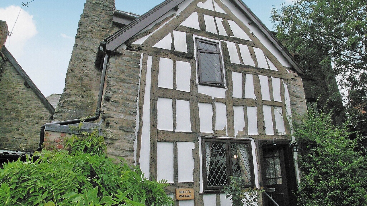 Photo of Outdoor in Knighton