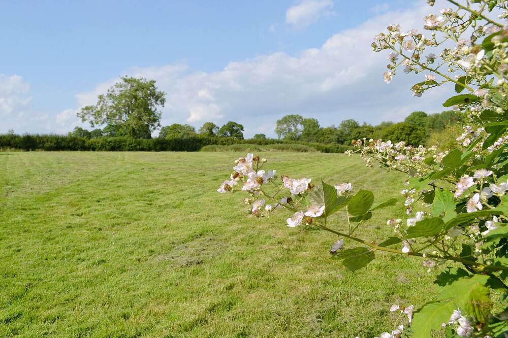 Photo of Others in Sheffield Green