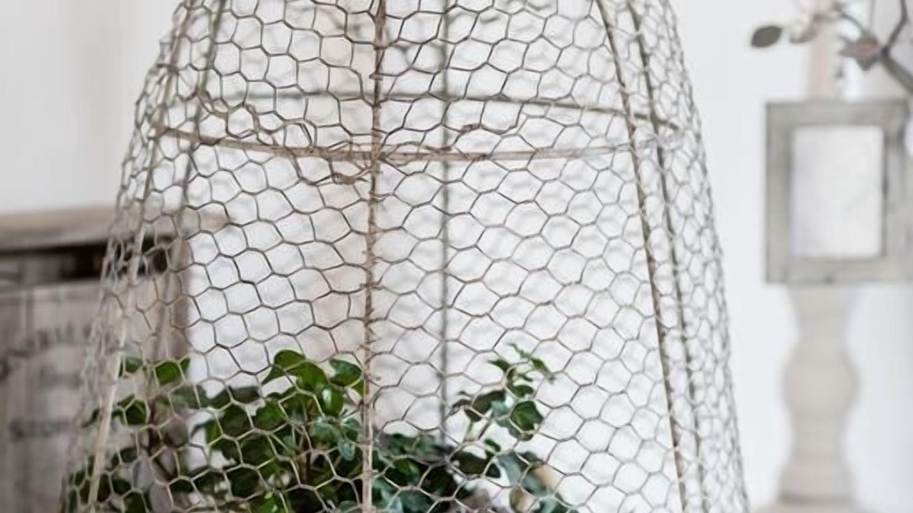 Photo of Others in Campagne-les-Hesdin