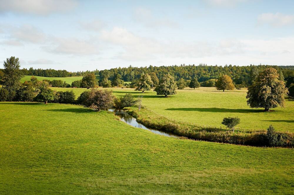 Photo of Outdoor in Straiton