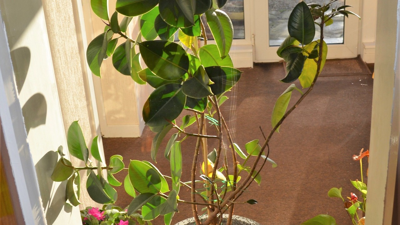 Photo of Others in Murkle