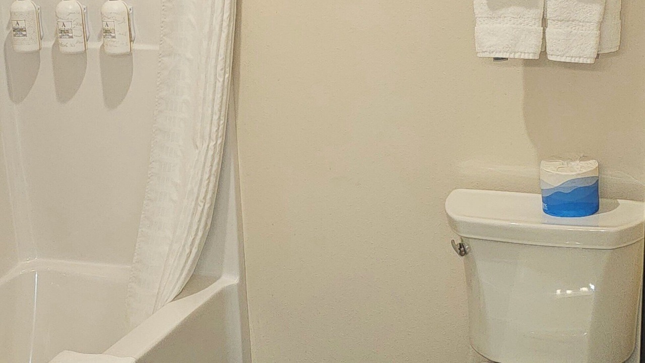 Photo of Others in Manchester