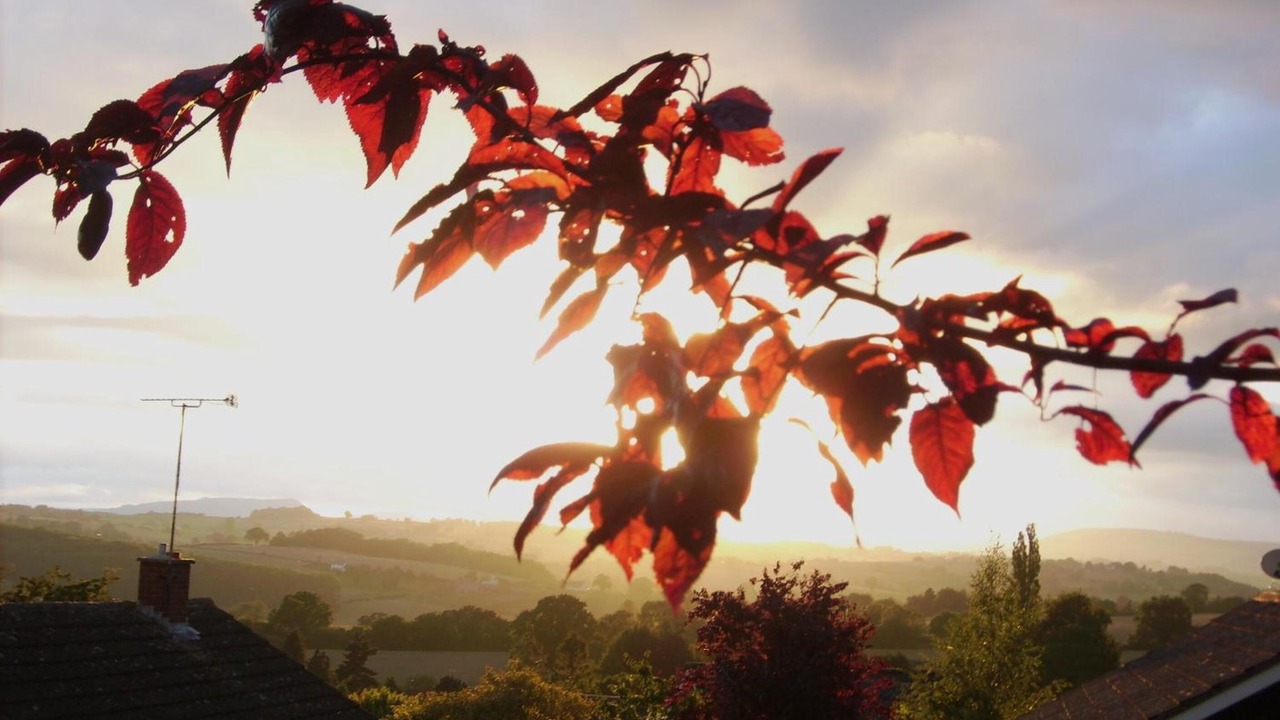 Photo of Outdoor in Monmouth