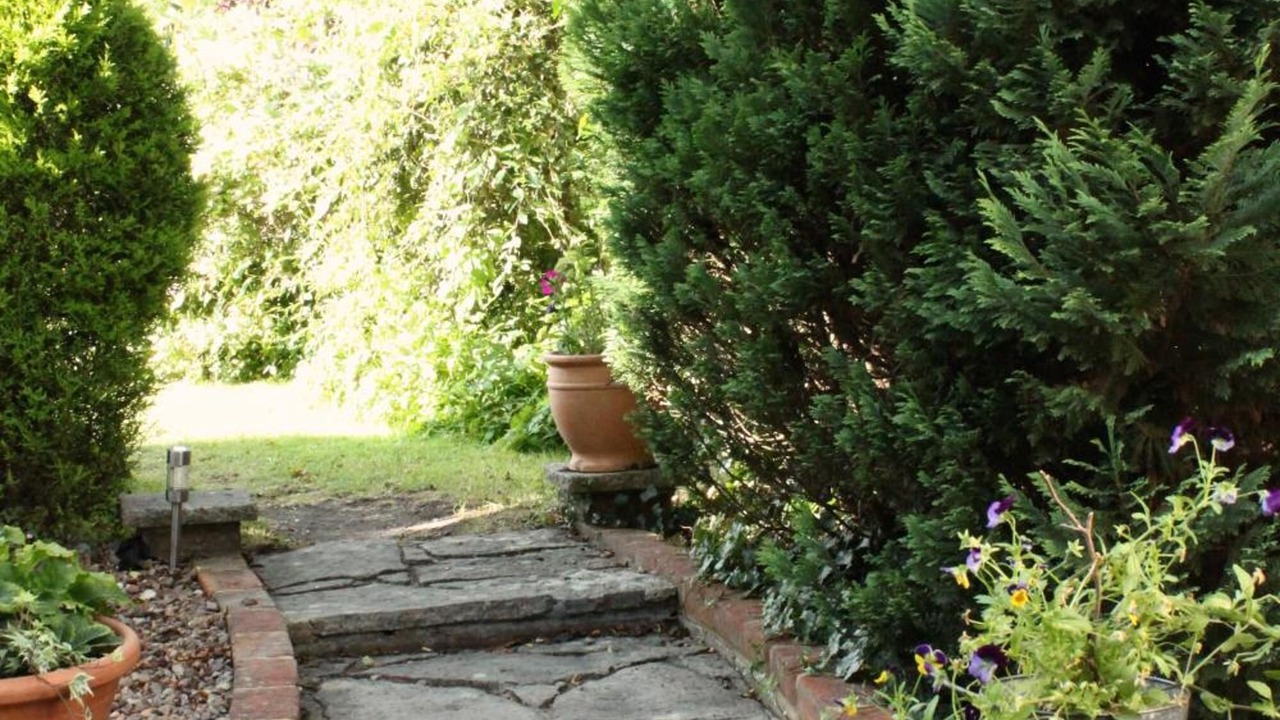 Photo of Outdoor in Barford St Martin