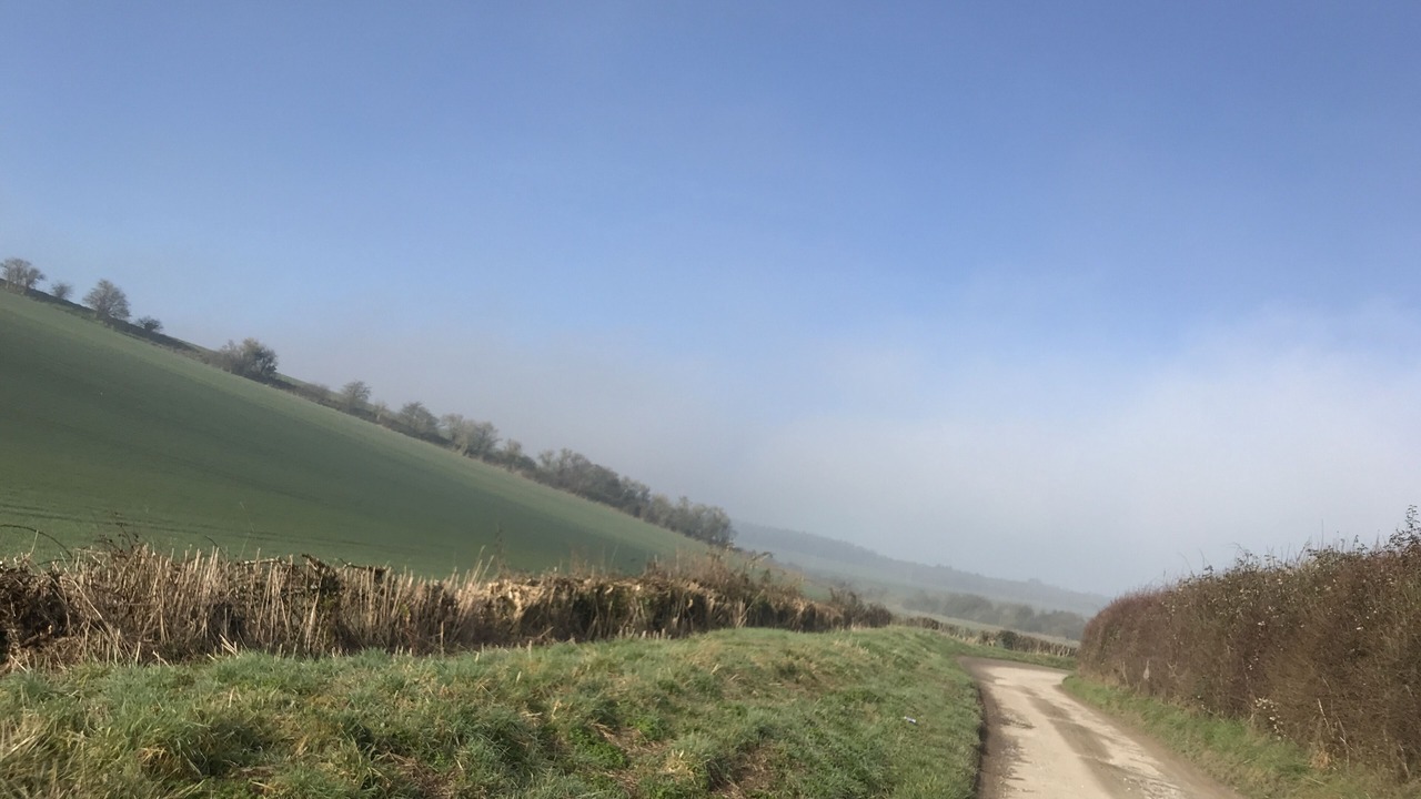 Photo of Outdoor in Barford St Martin