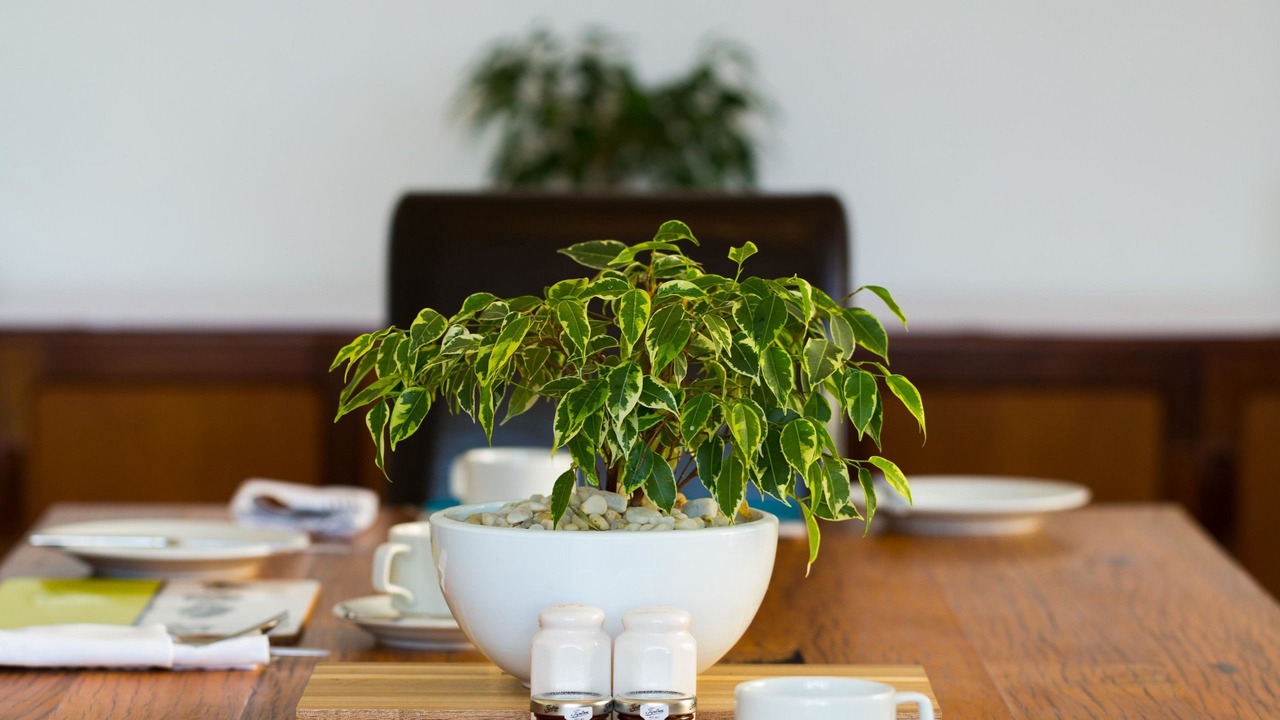 Photo of Others in Grange-over-Sands