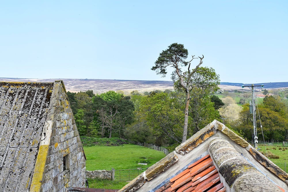 Photo of Others in Goathland