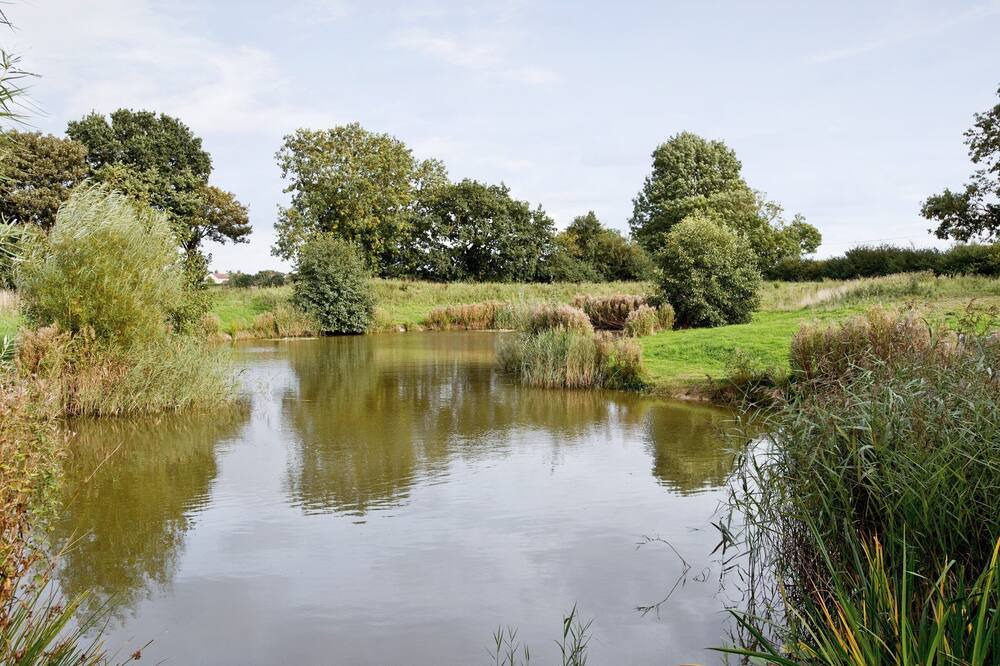 Photo of Outdoor in Potter Heigham