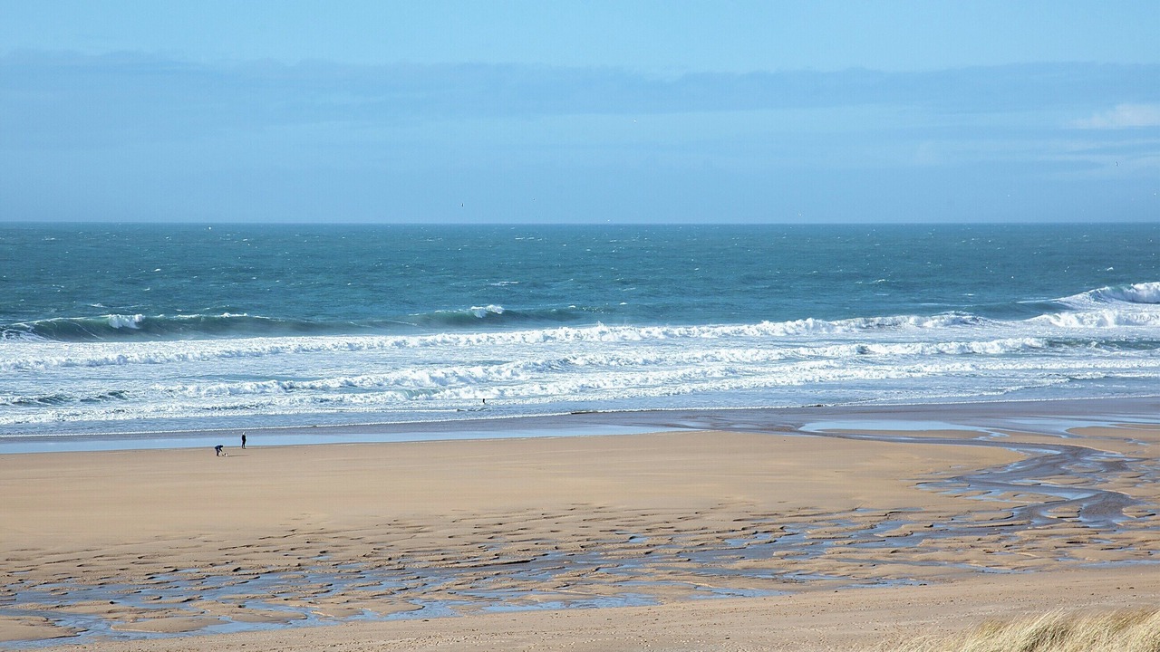 Photo of Others in Cubert