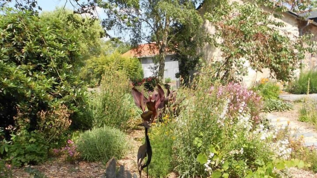 Photo of Outdoor in Plesse