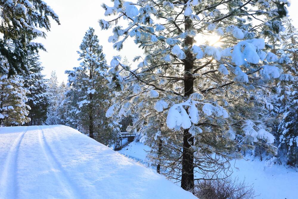 Photo of Others in Cle Elum