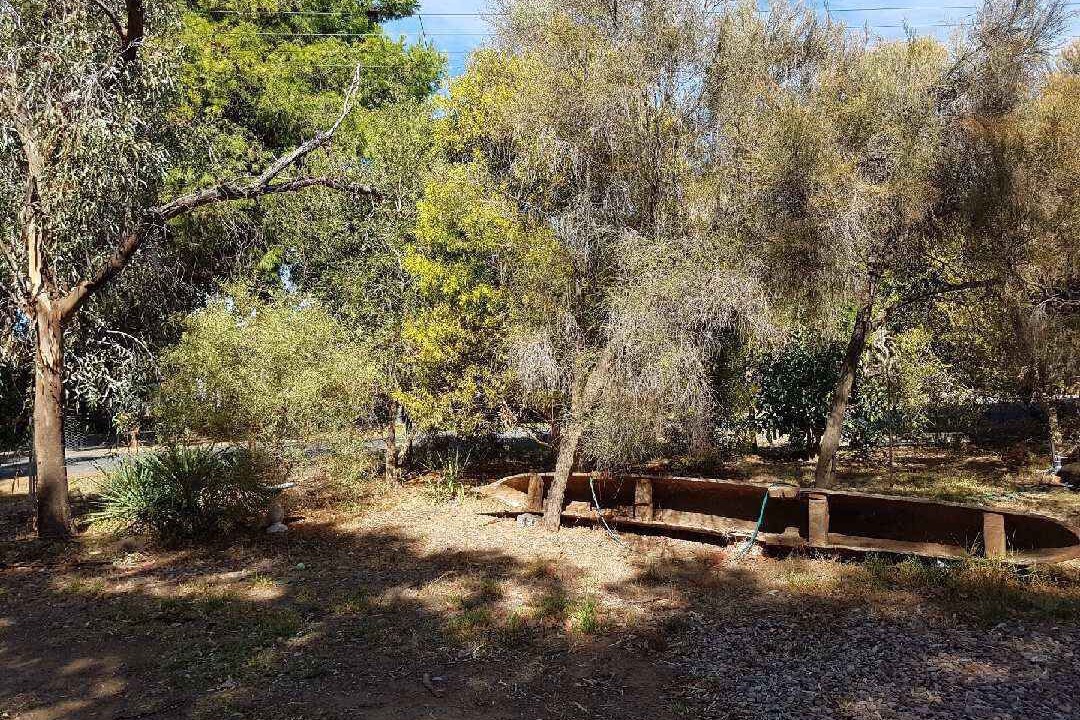 Photo of Outdoor in Port Willunga