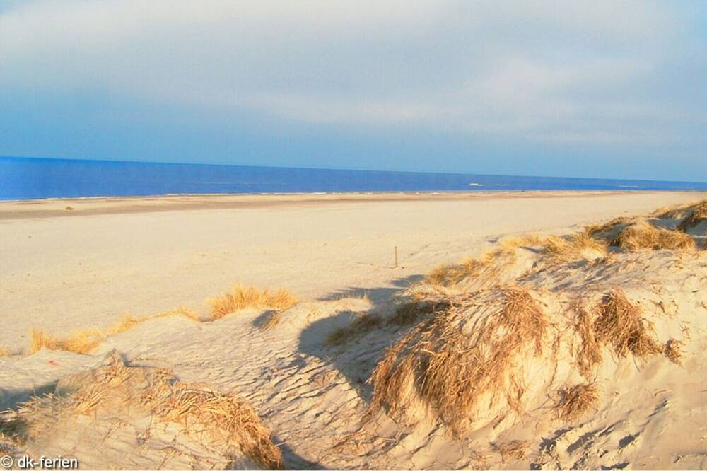 Photo of Others in Henne Strand