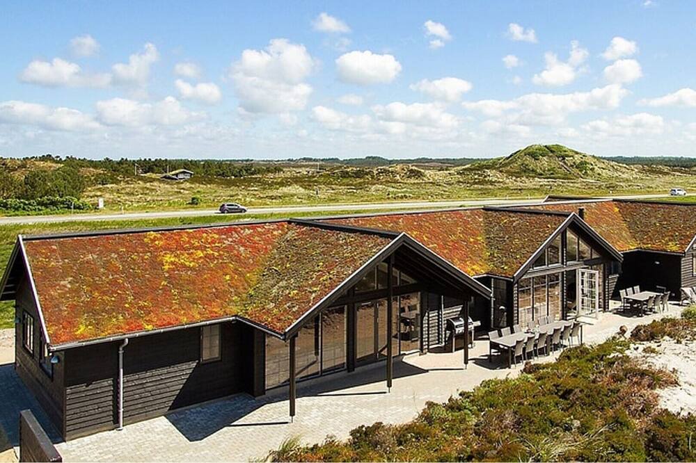 Photo of Outdoor in Henne Strand