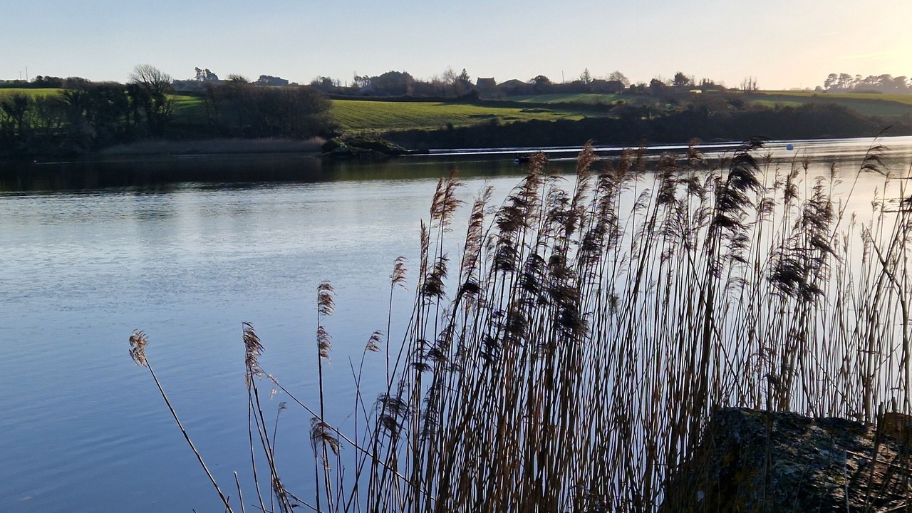 Photo of Outdoor in Breles