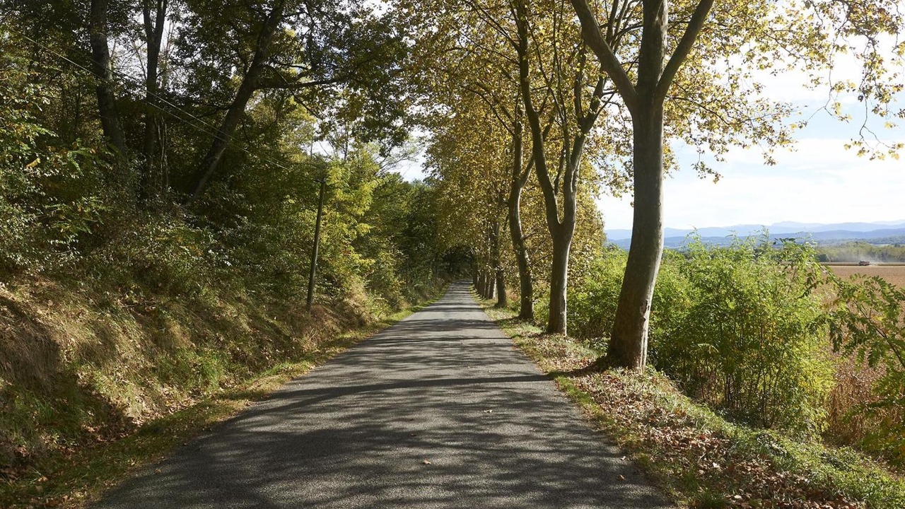 Photo of Outdoor in Montesquieu-Volvestre