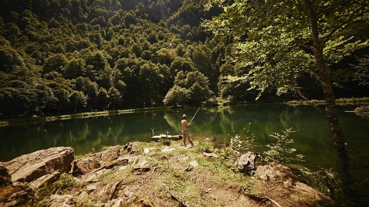 Photo of Outdoor in Montesquieu-Volvestre