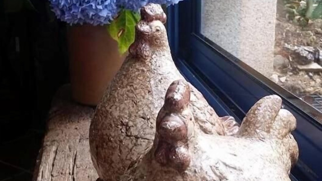 Photo of Others in Plonevez-Porzay