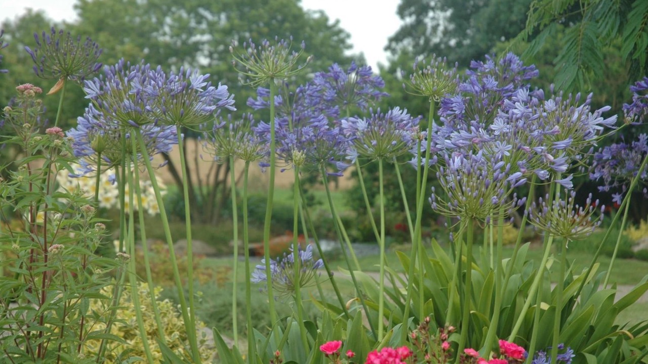 Photo of Outdoor in Plonevez-Porzay