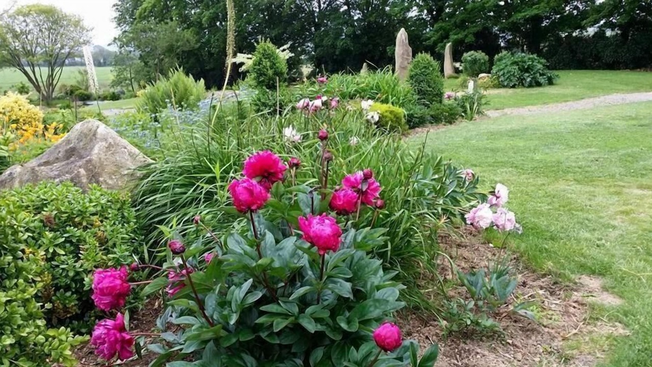 Photo of Outdoor in Plonevez-Porzay