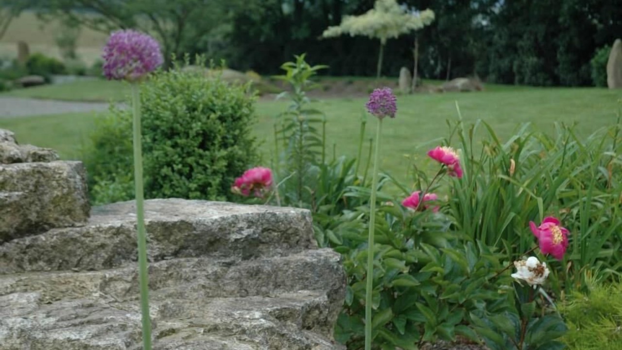 Photo of Outdoor in Plonevez-Porzay