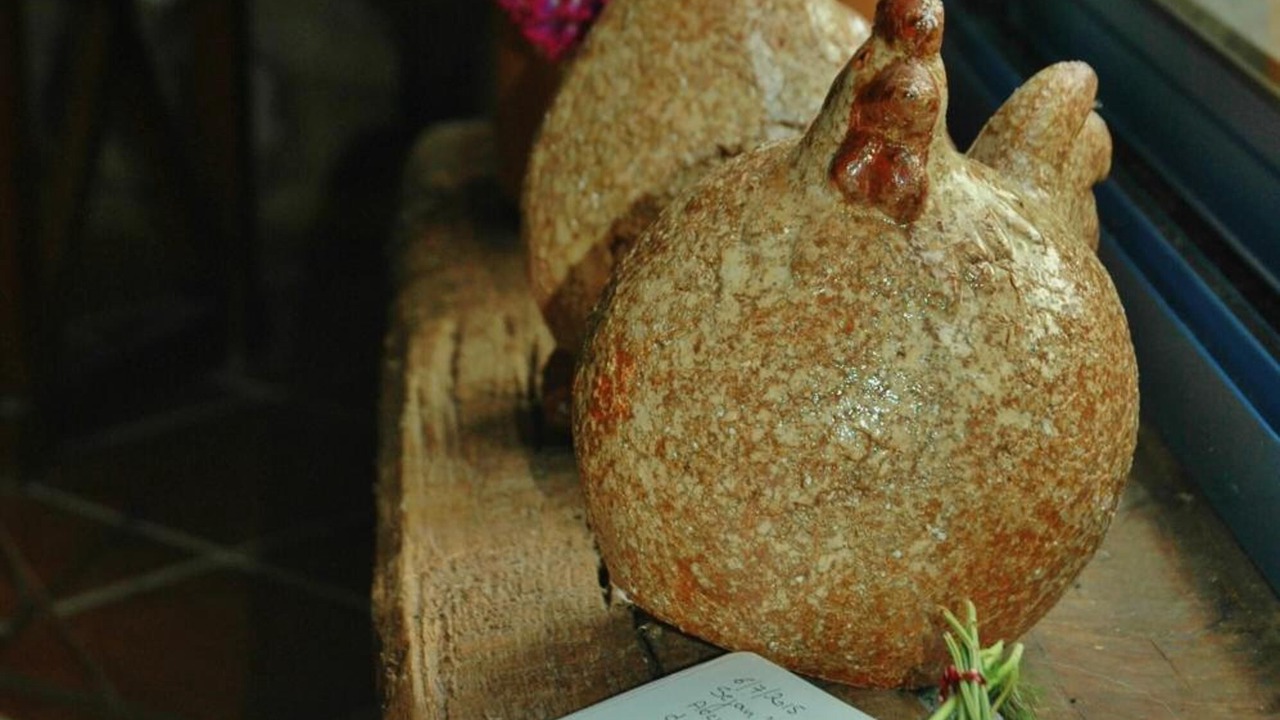 Photo of Others in Plonevez-Porzay