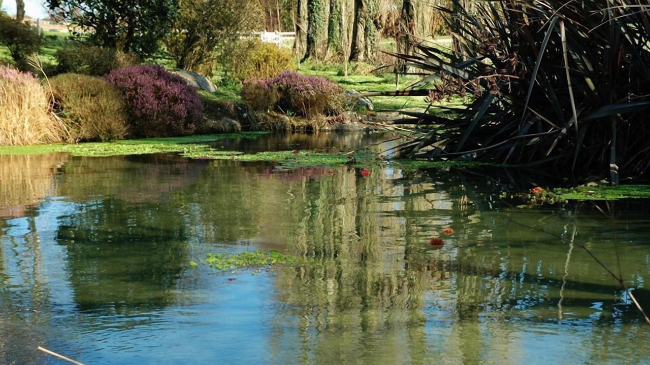 Photo of Outdoor in Plonevez-Porzay