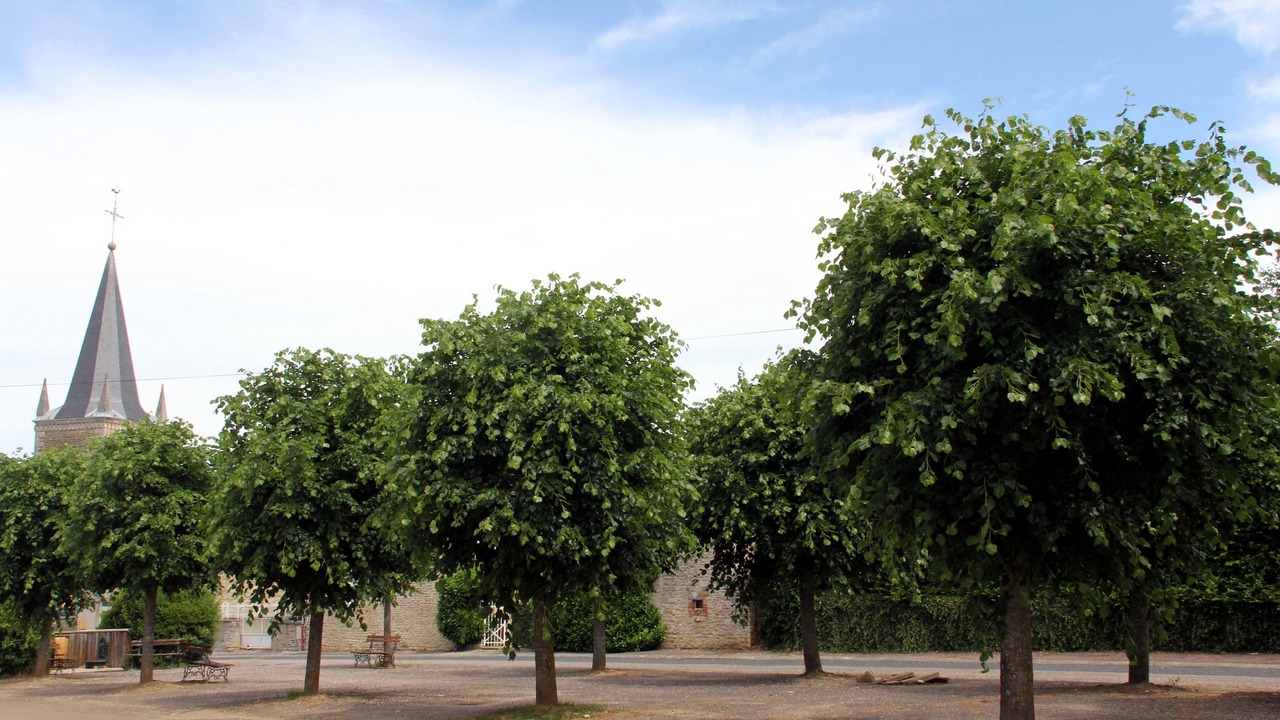 Photo of Outdoor in Blumeray